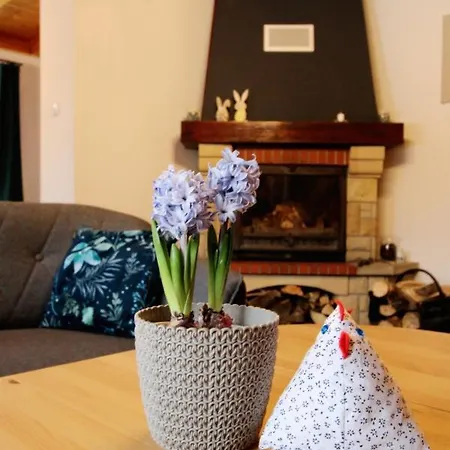 Willa Dom Pod Bukami