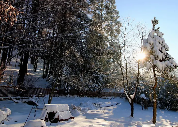 Villa Dom Pod Bukami *